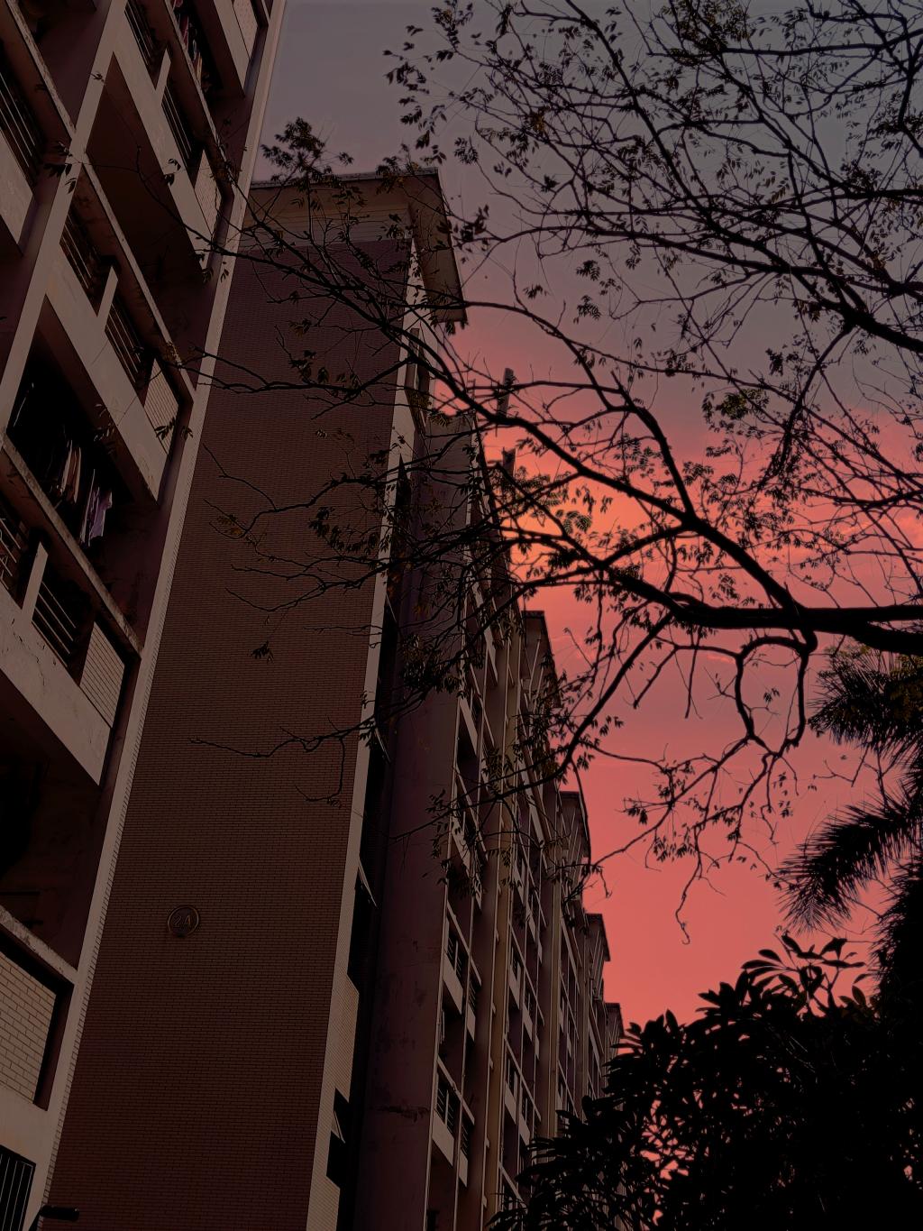 77779193永利集团