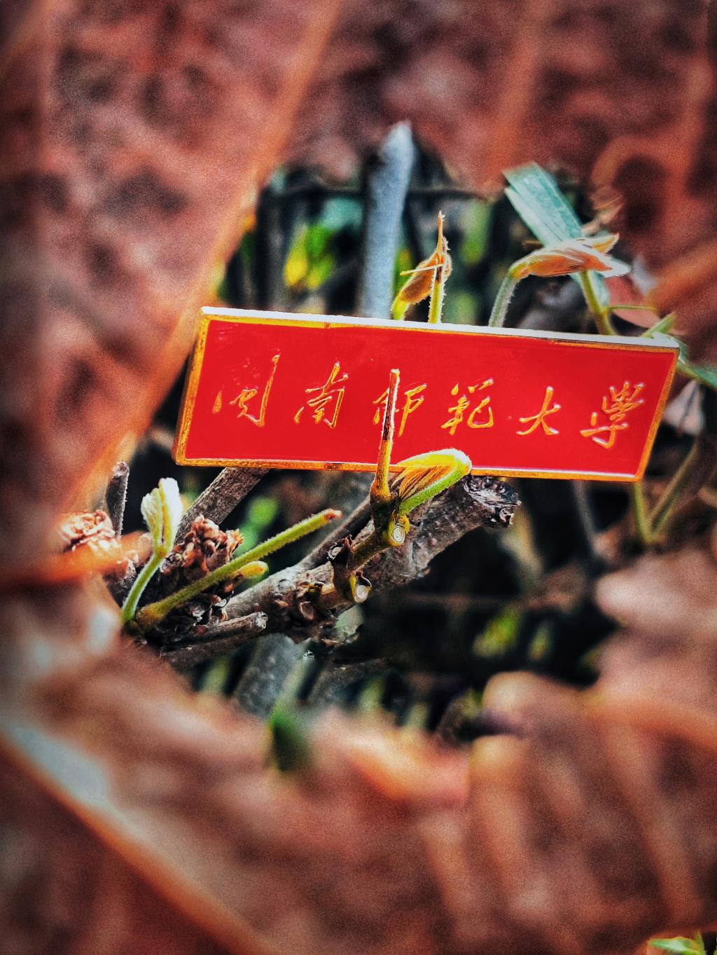 77779193永利集团