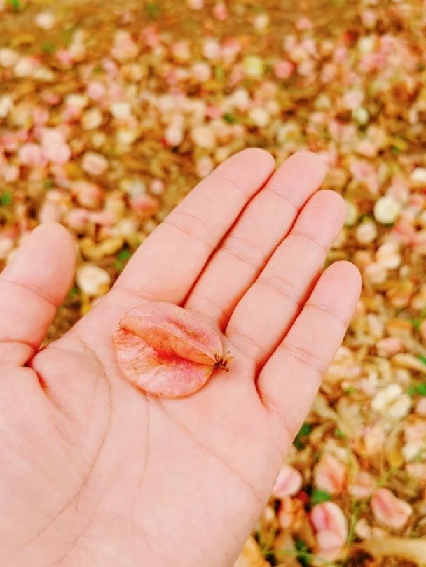 77779193永利集团