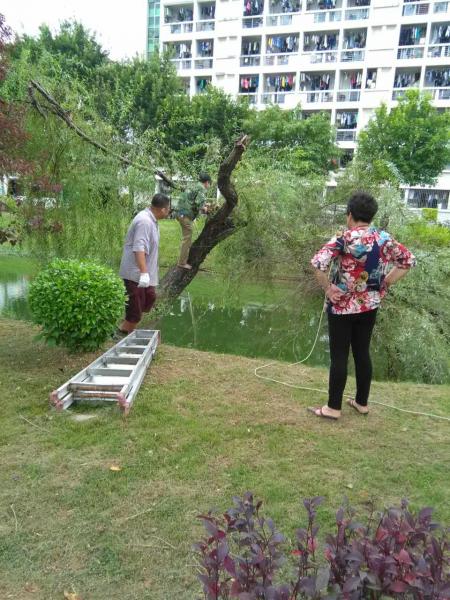 6.jpg 77779193永利集团