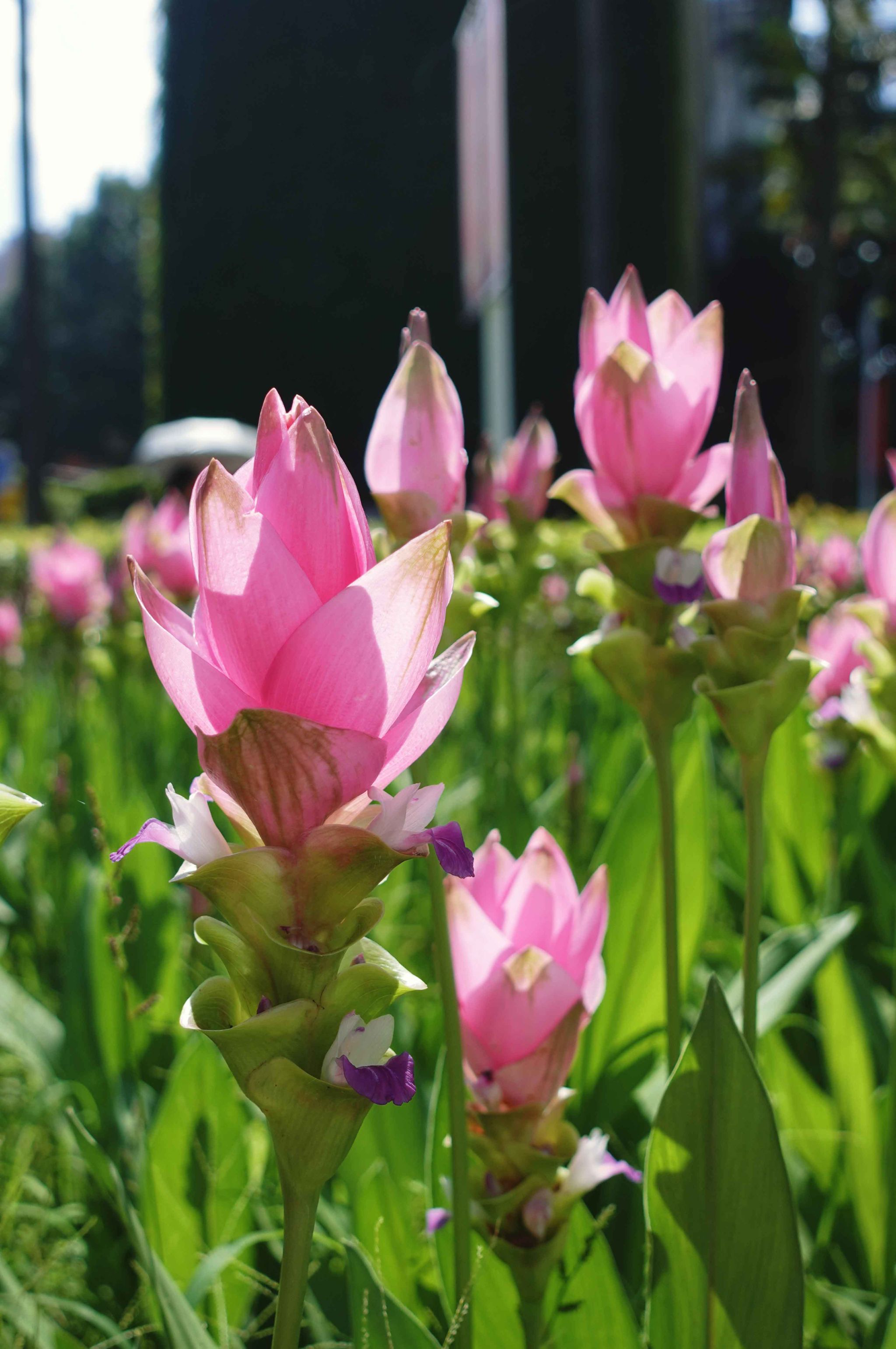 77779193永利集团