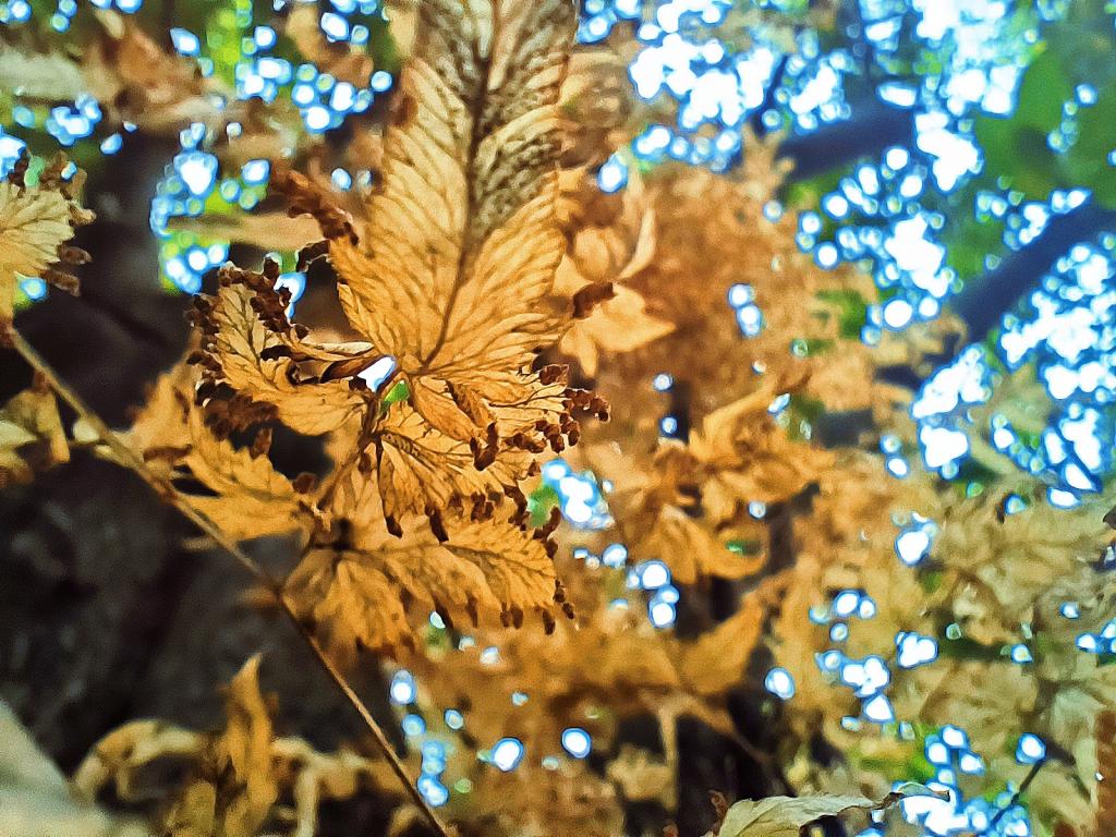 77779193永利集团