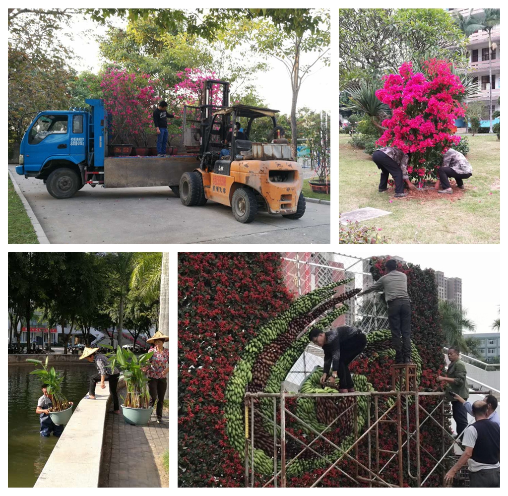 77779193永利集团