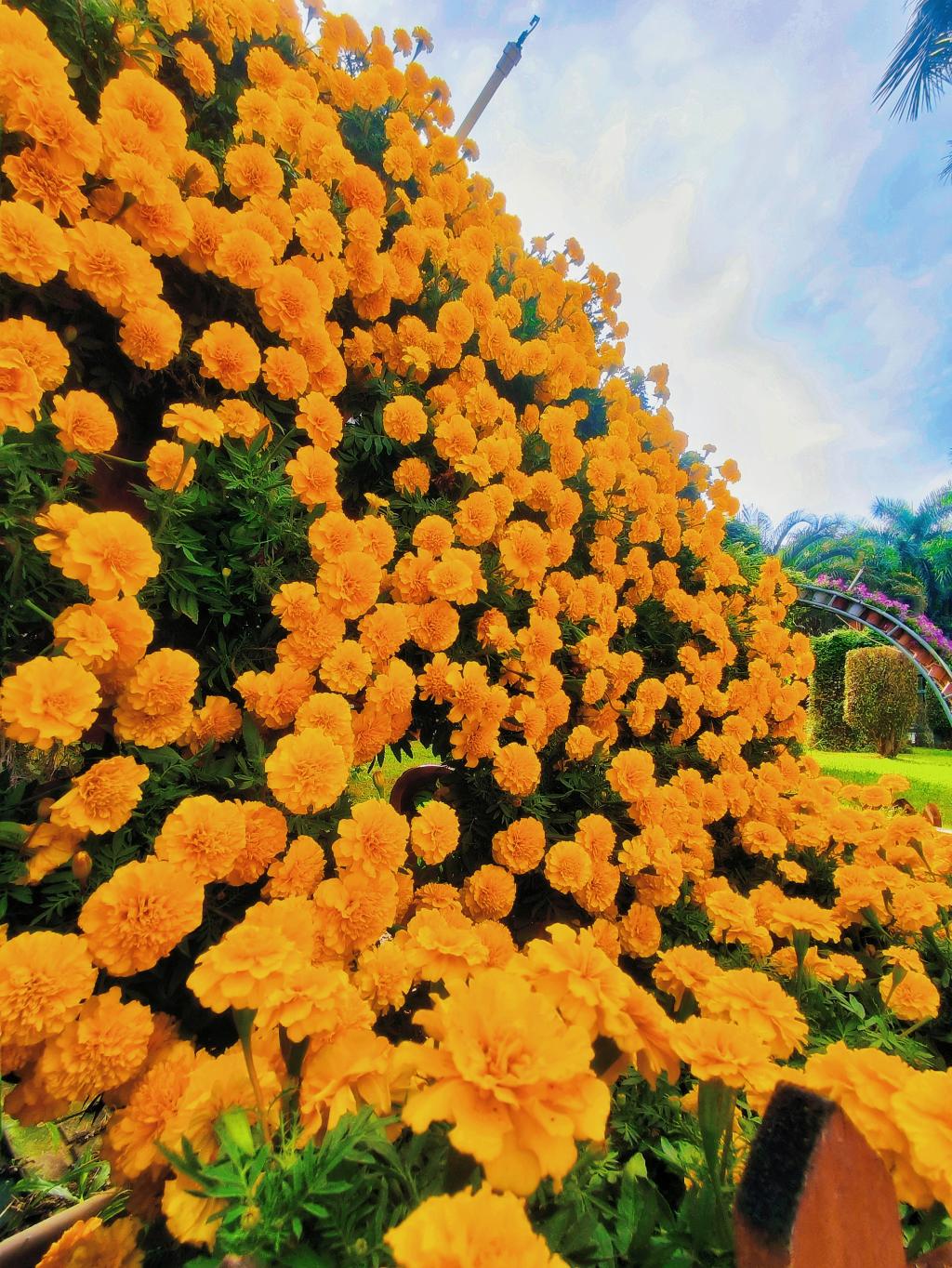 77779193永利集团