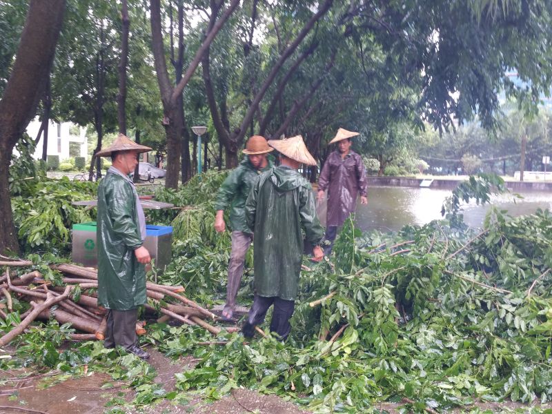 77779193永利集团