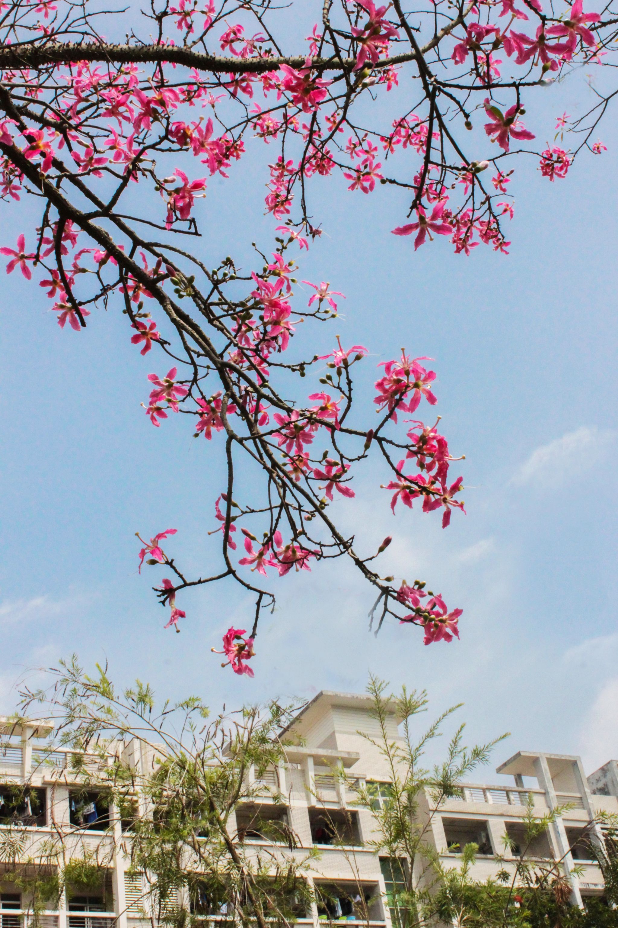 77779193永利集团