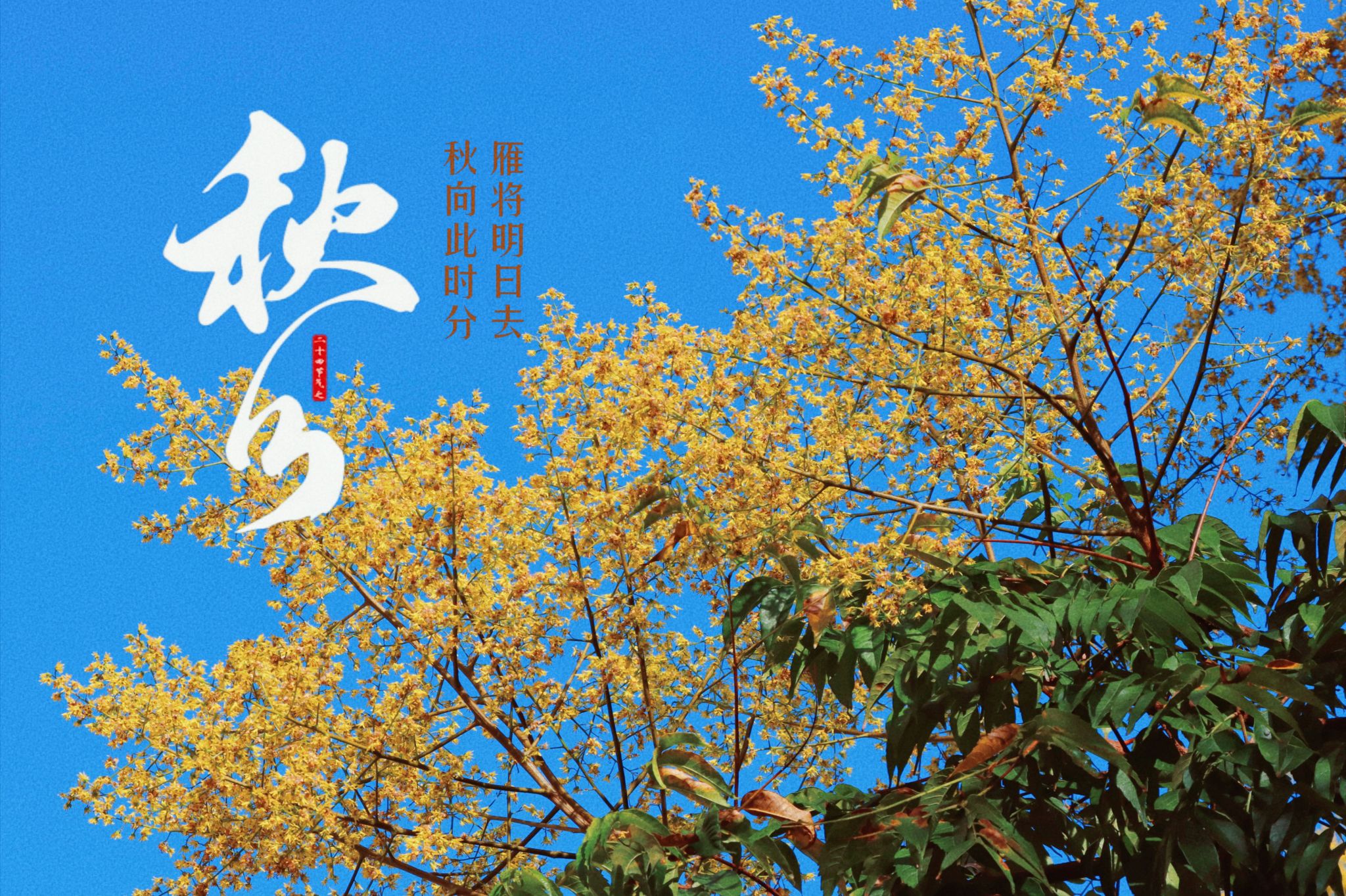 77779193永利集团