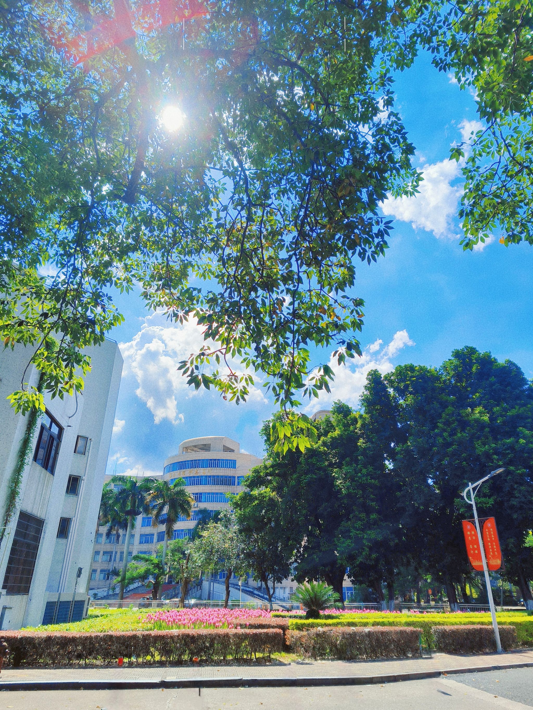 77779193永利集团