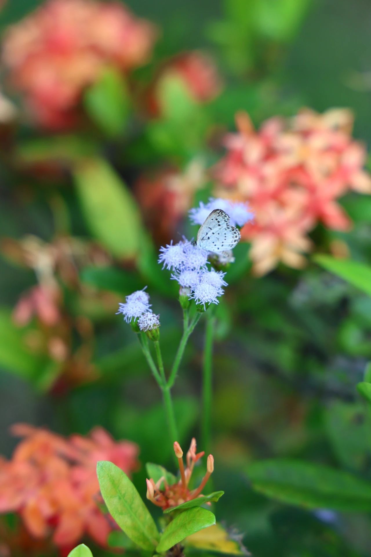 77779193永利集团