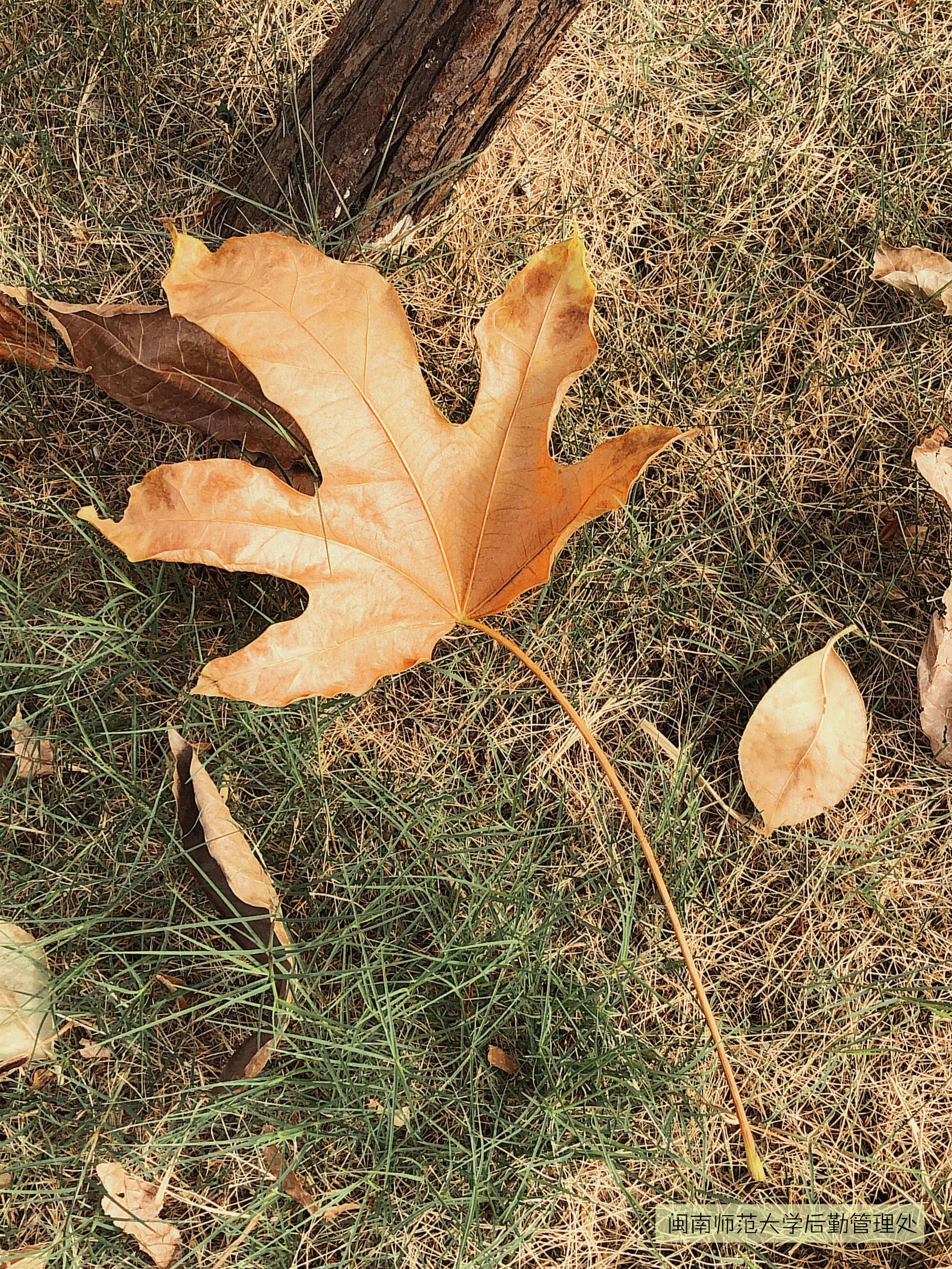 77779193永利集团