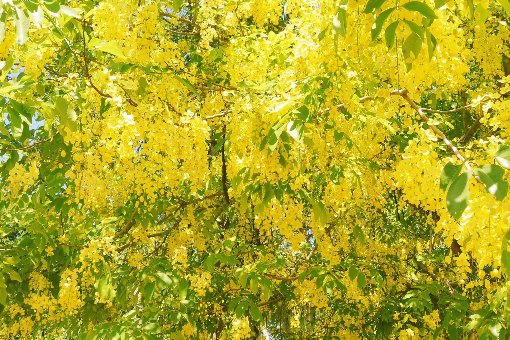 77779193永利集团