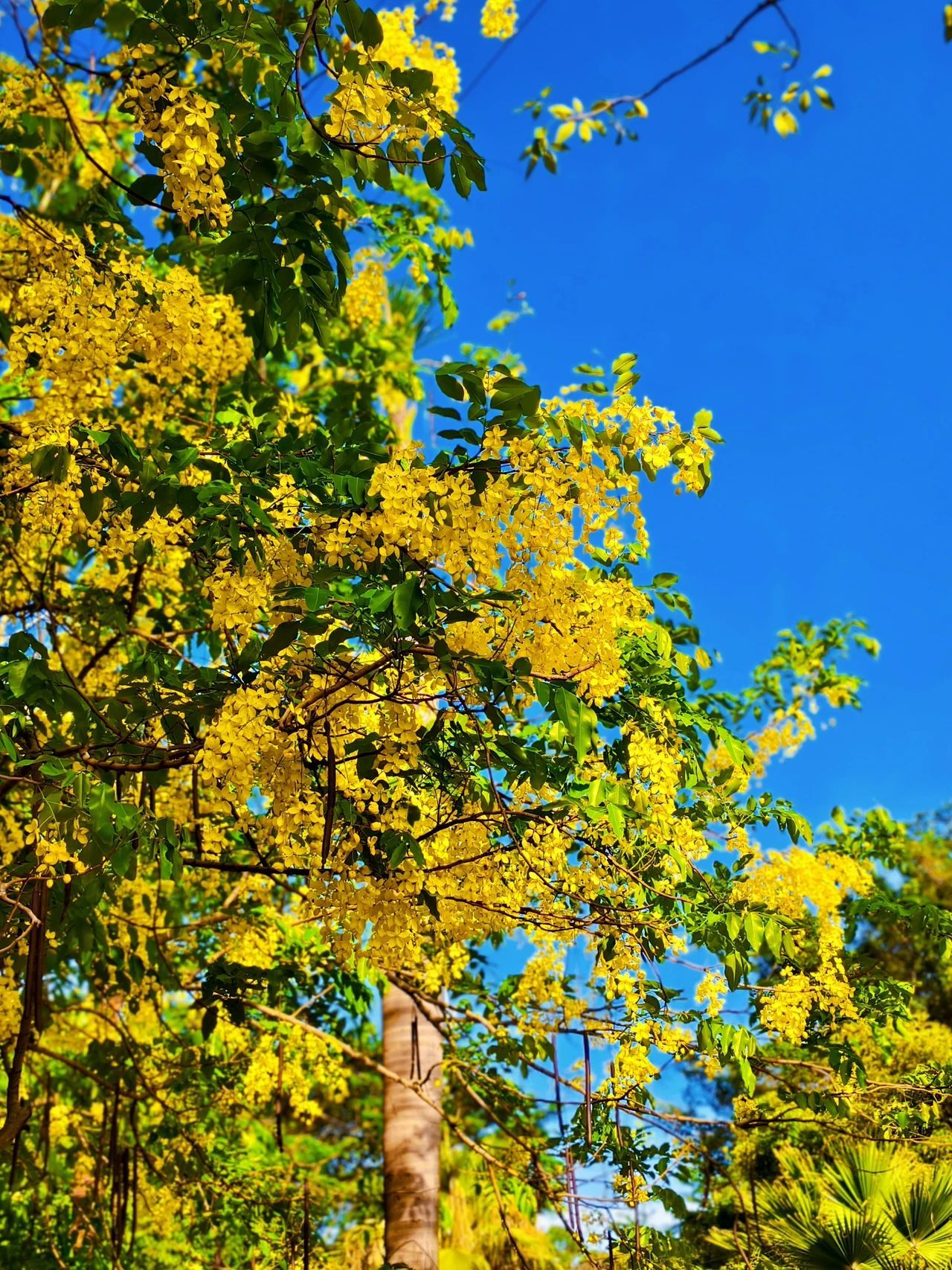 77779193永利集团