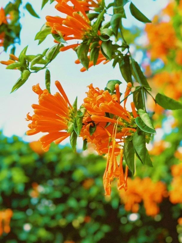 77779193永利集团