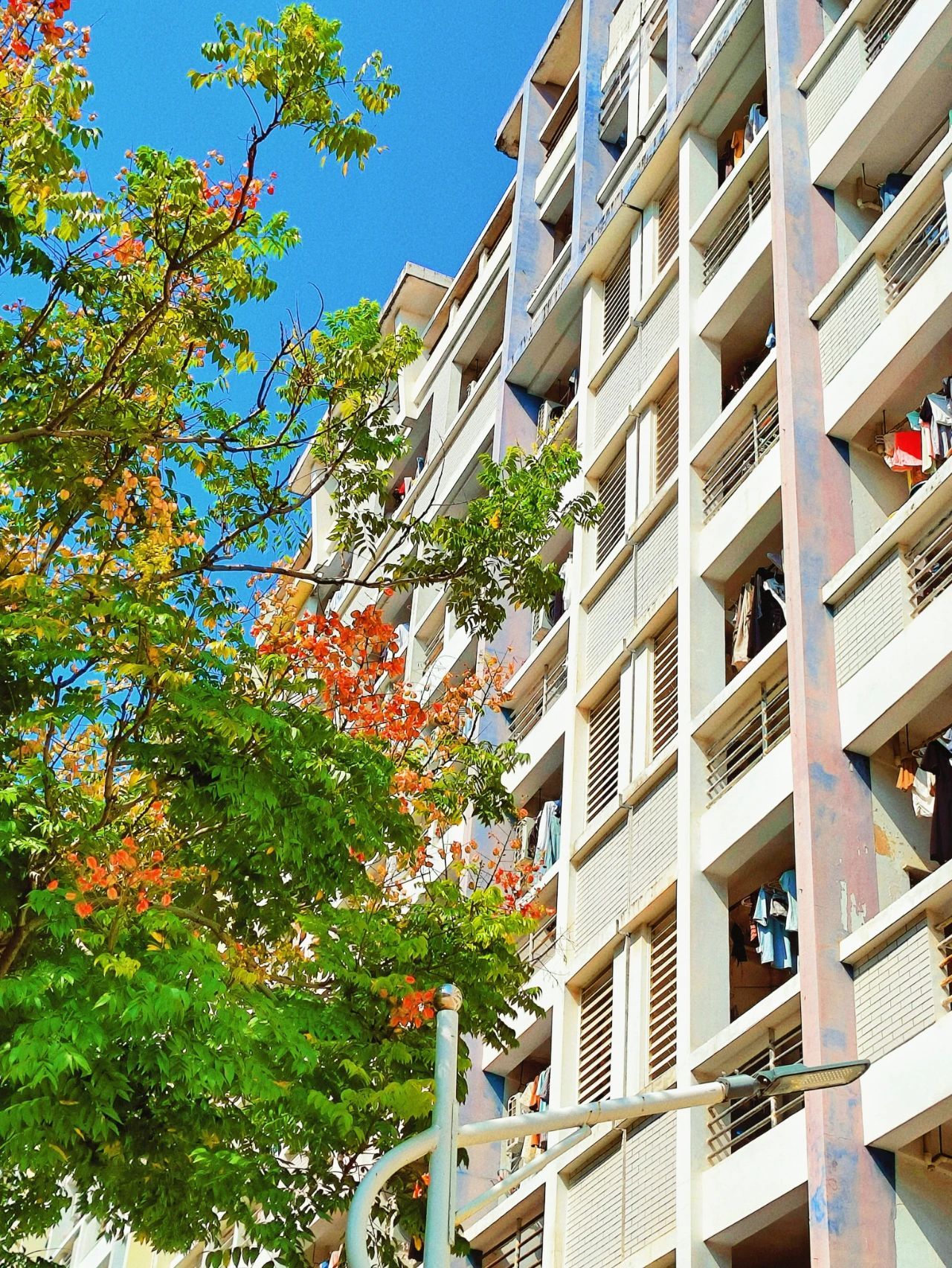 77779193永利集团