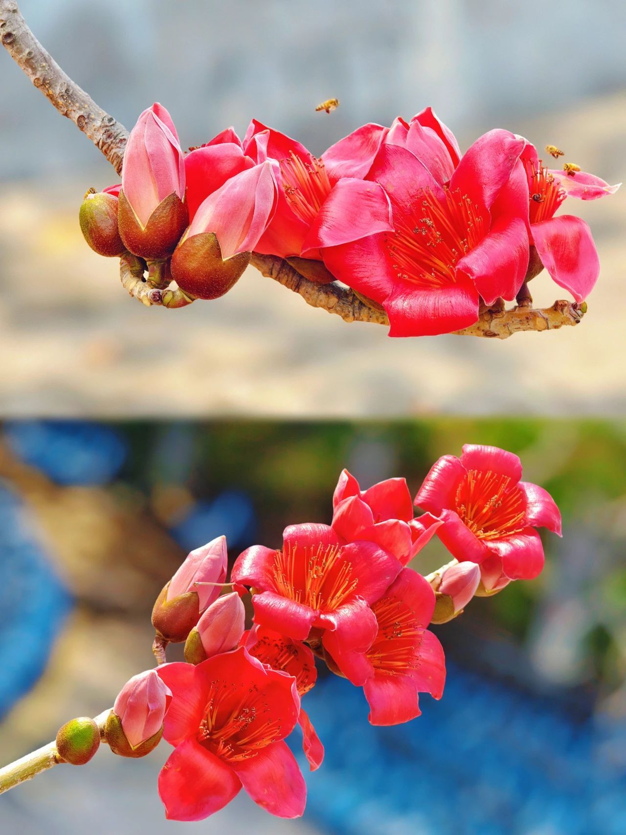 77779193永利集团