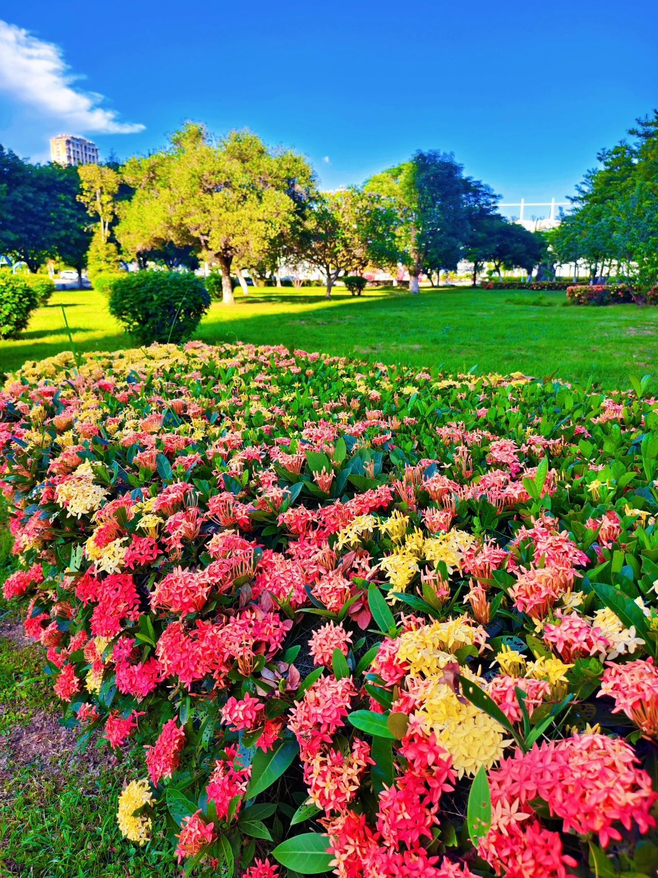 77779193永利集团