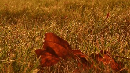 77779193永利集团