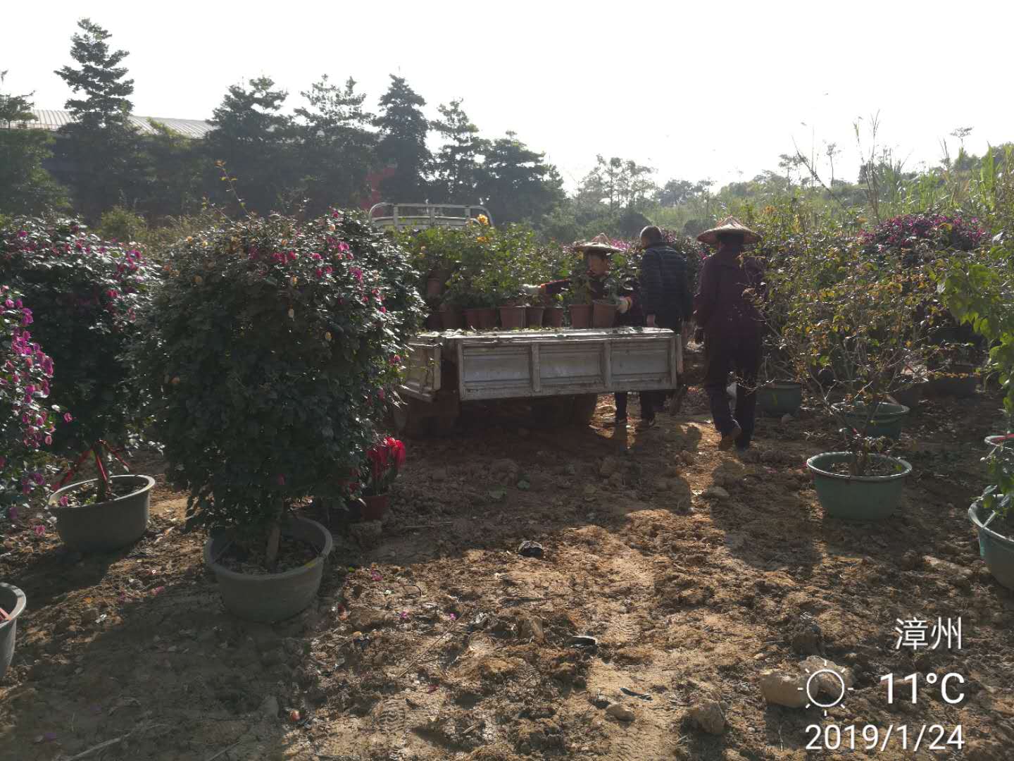 77779193永利集团