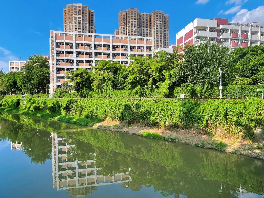 77779193永利集团