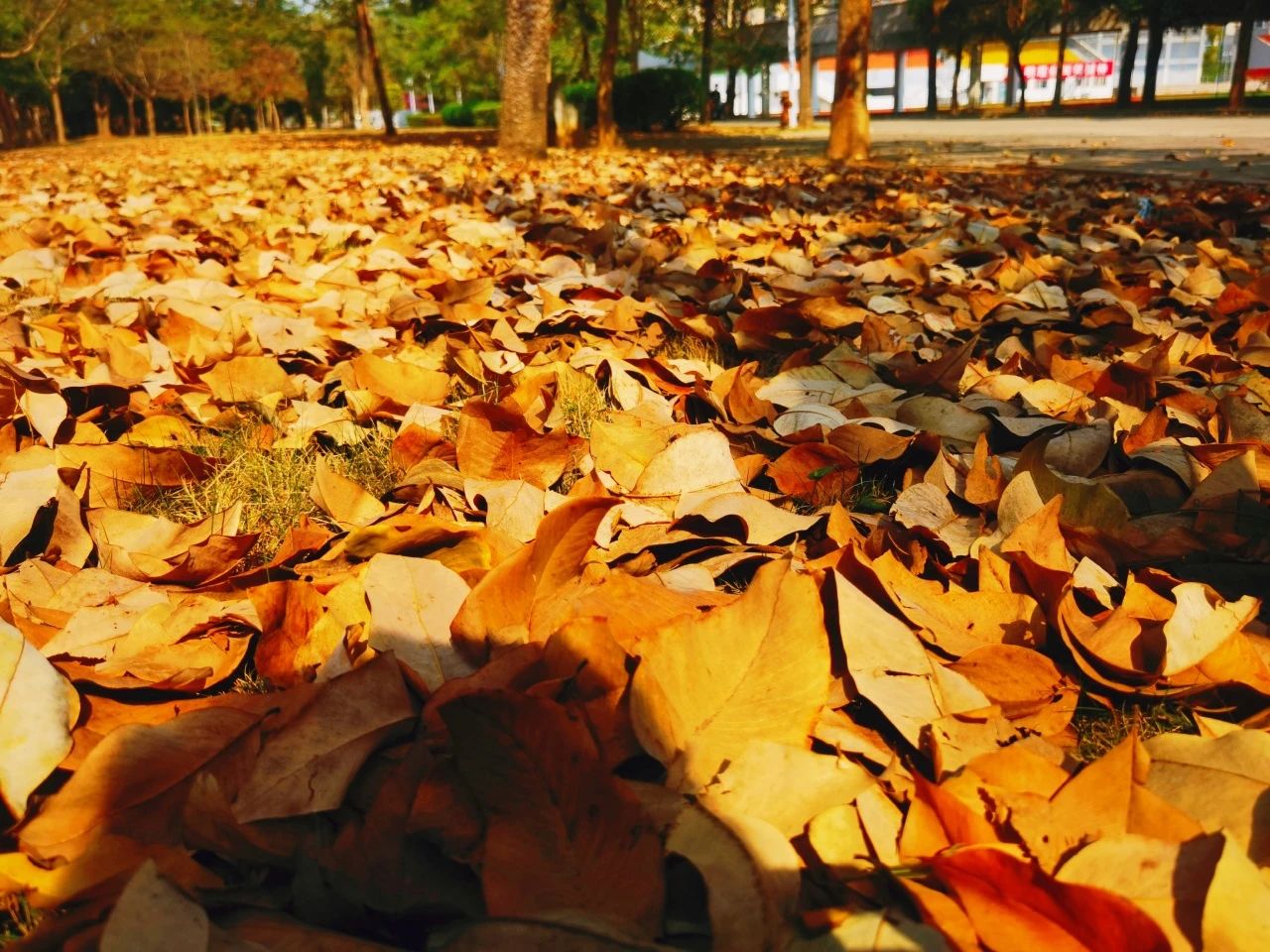 77779193永利集团