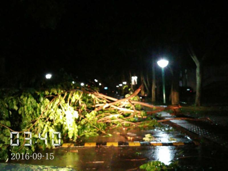 77779193永利集团