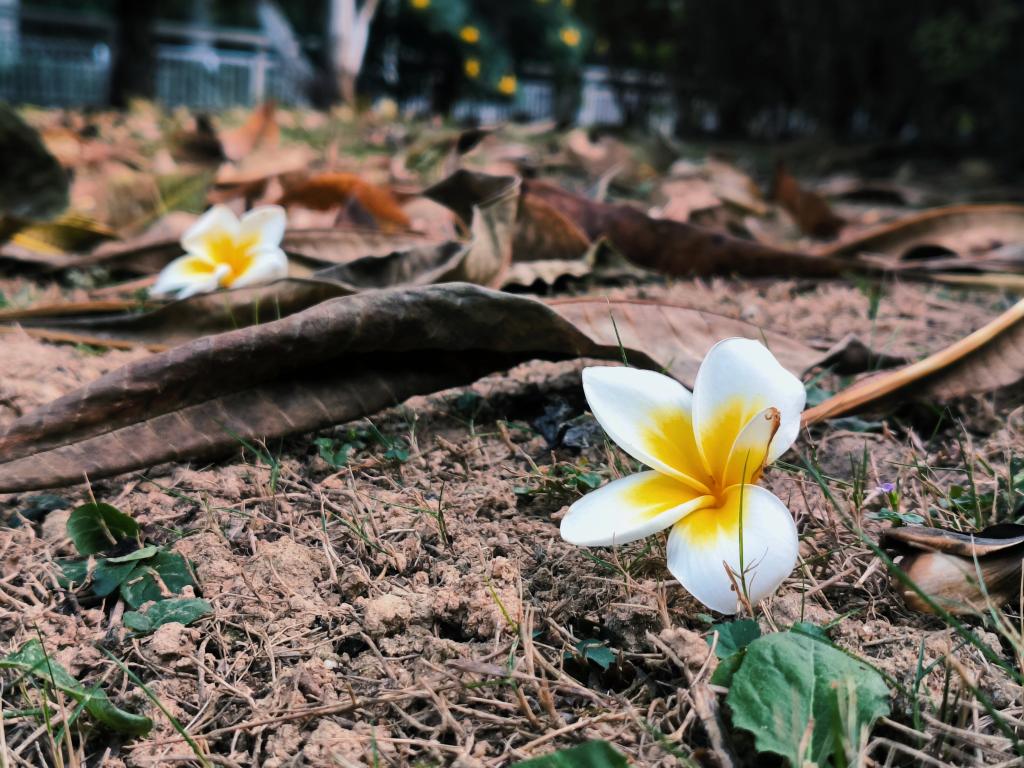 77779193永利集团