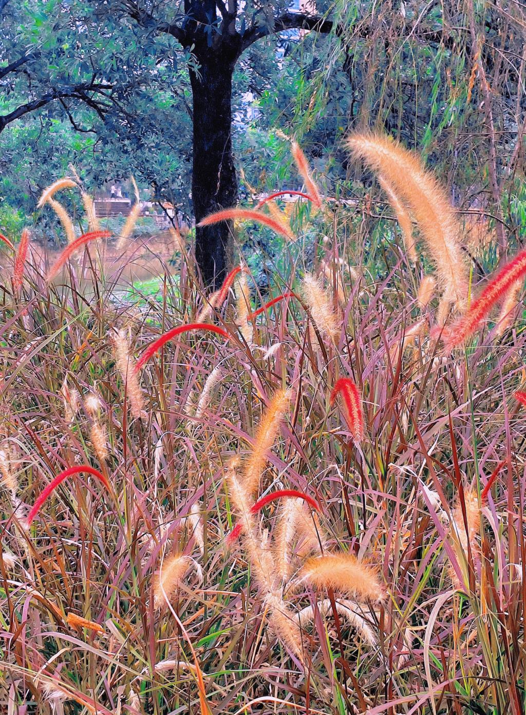 77779193永利集团