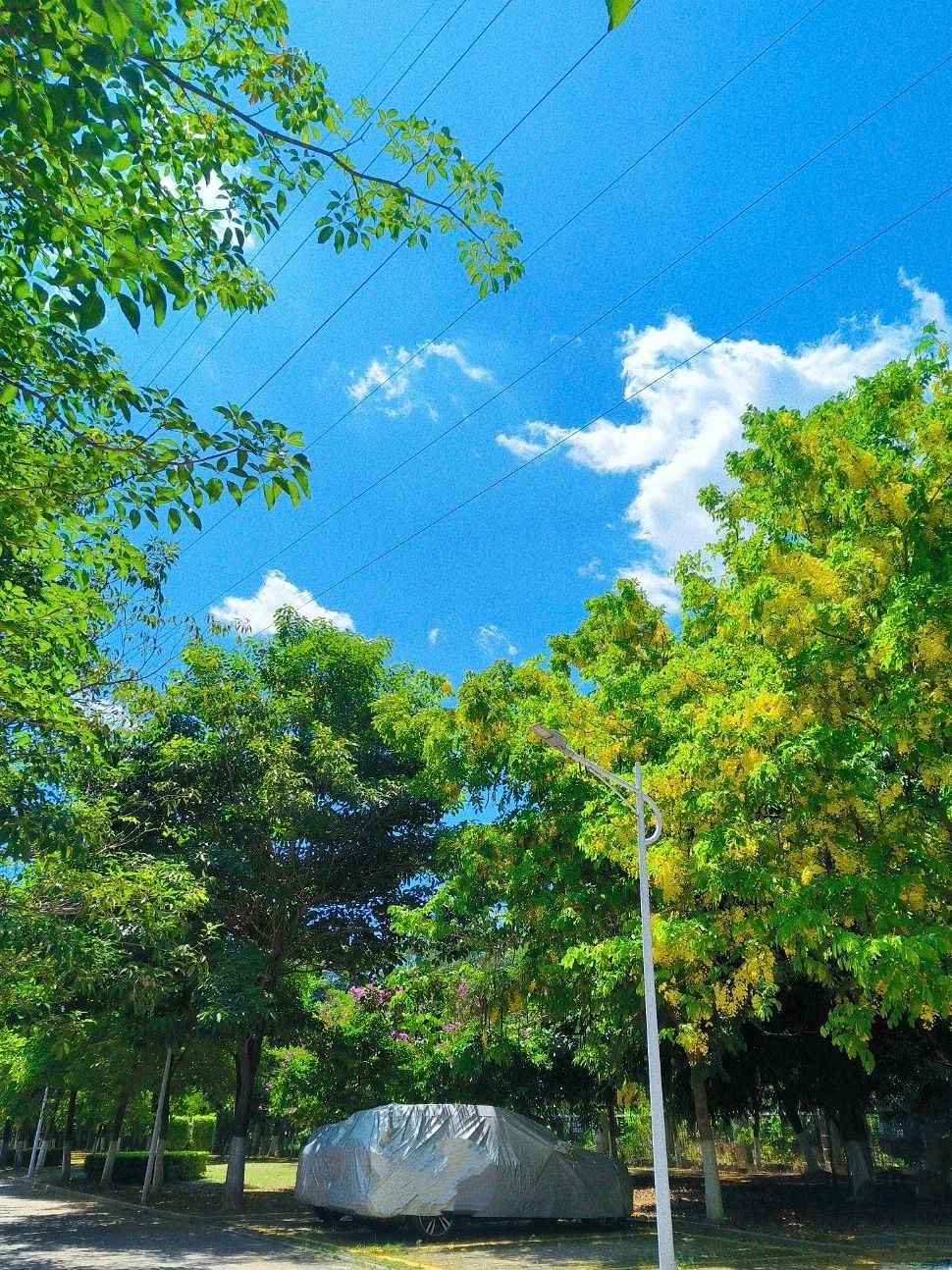 77779193永利集团