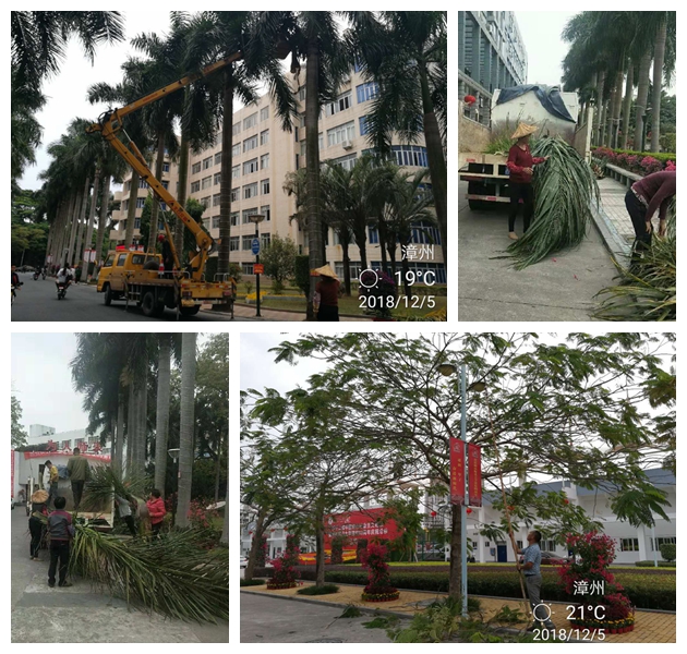 77779193永利集团