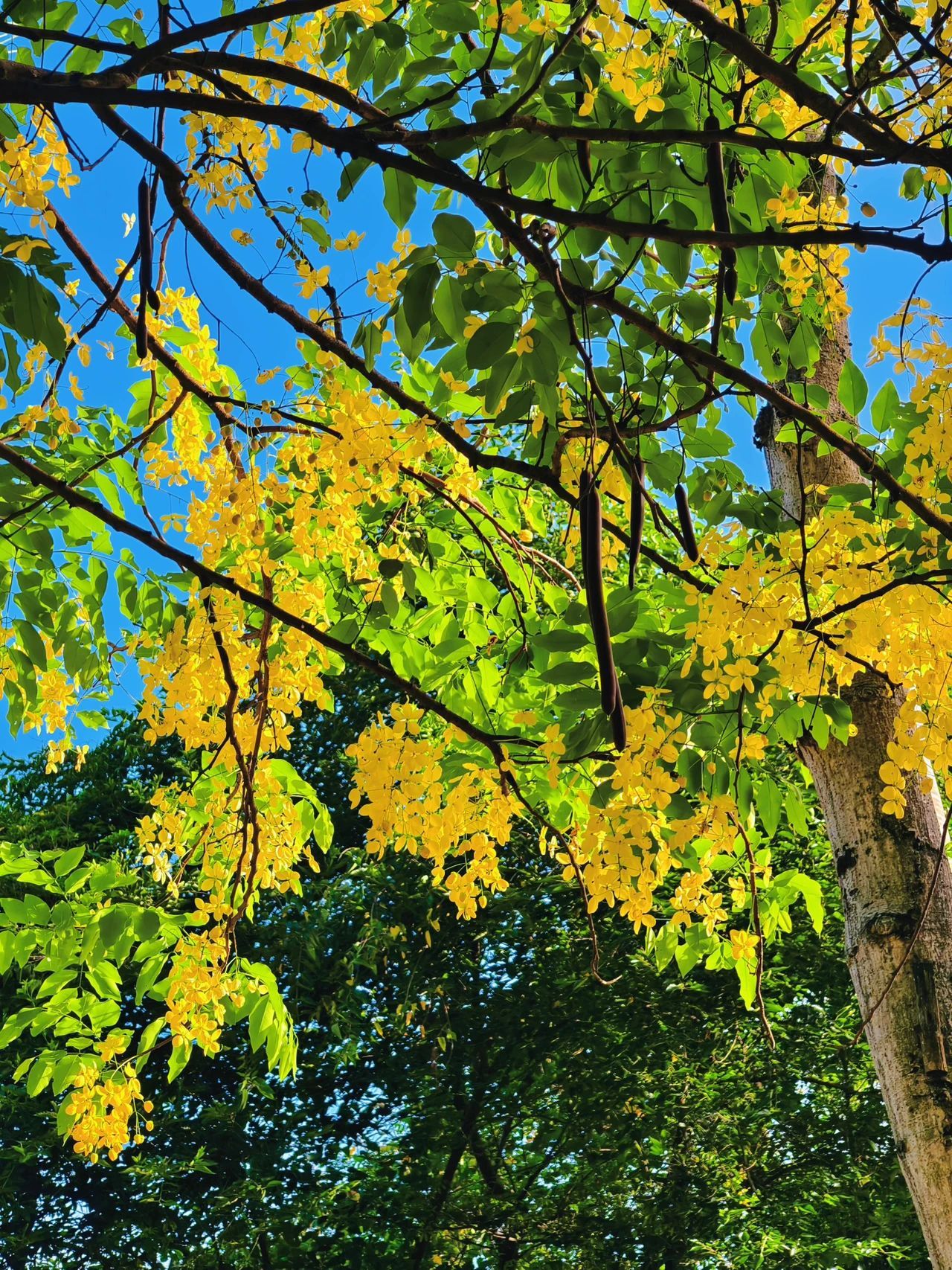 77779193永利集团