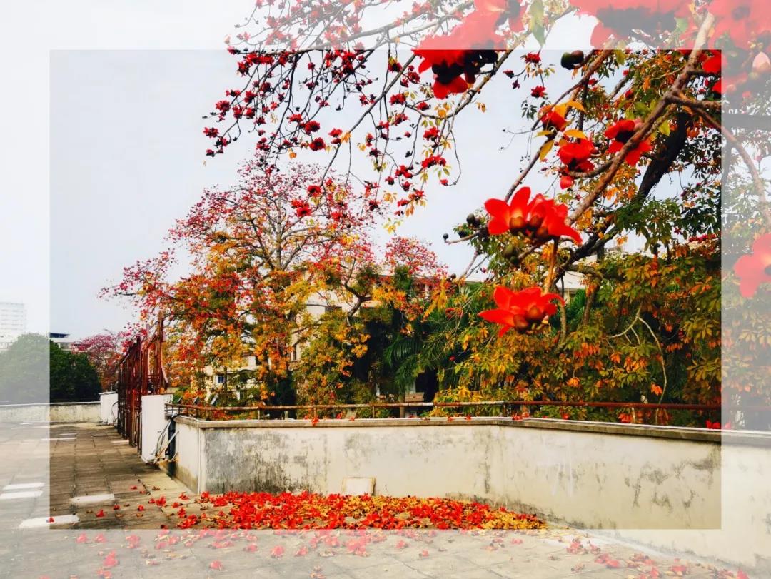 77779193永利集团