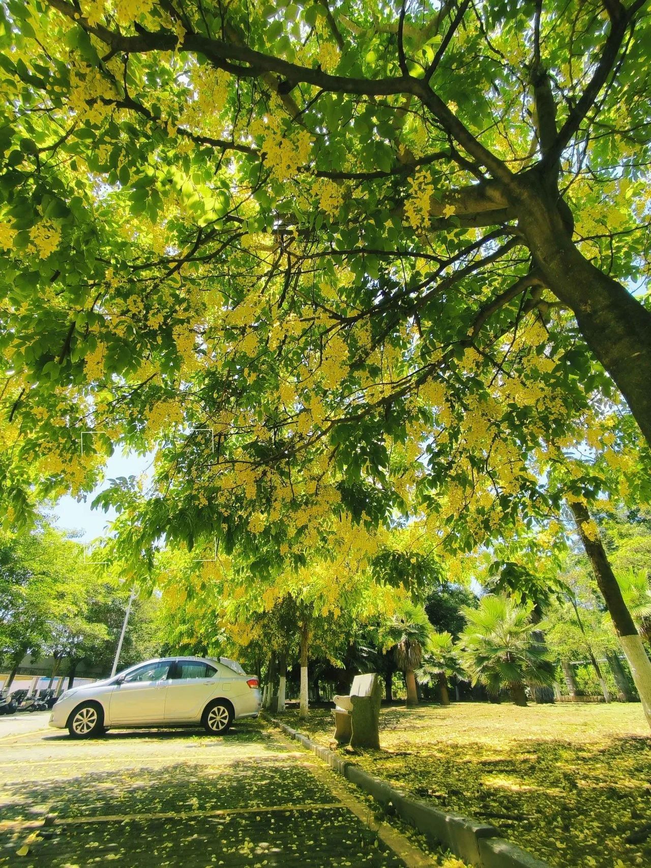 77779193永利集团