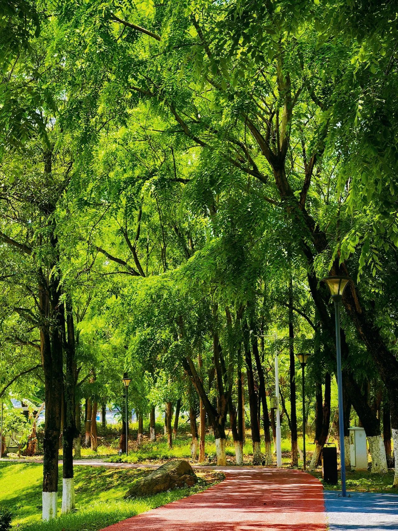 77779193永利集团