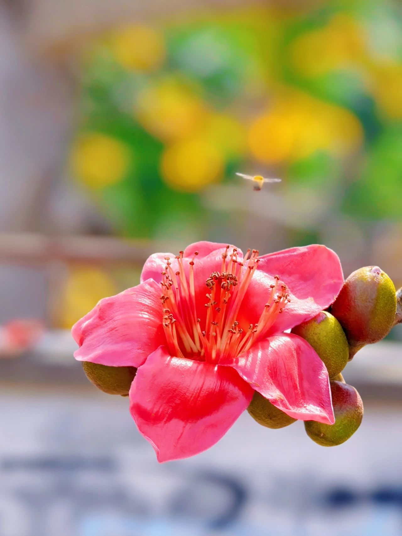 77779193永利集团