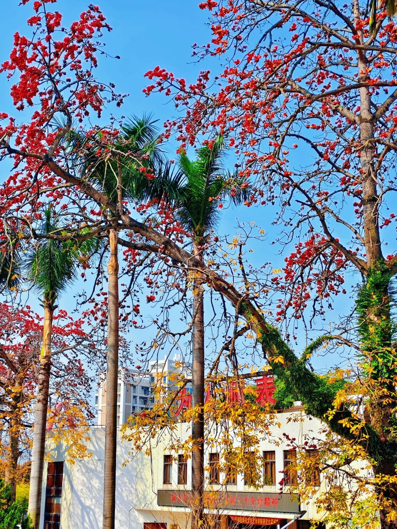 77779193永利集团