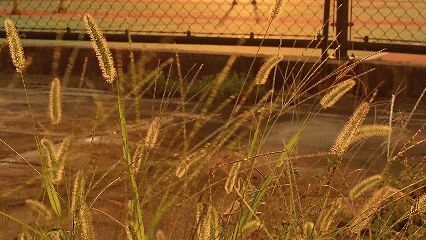 77779193永利集团