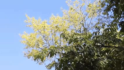 77779193永利集团