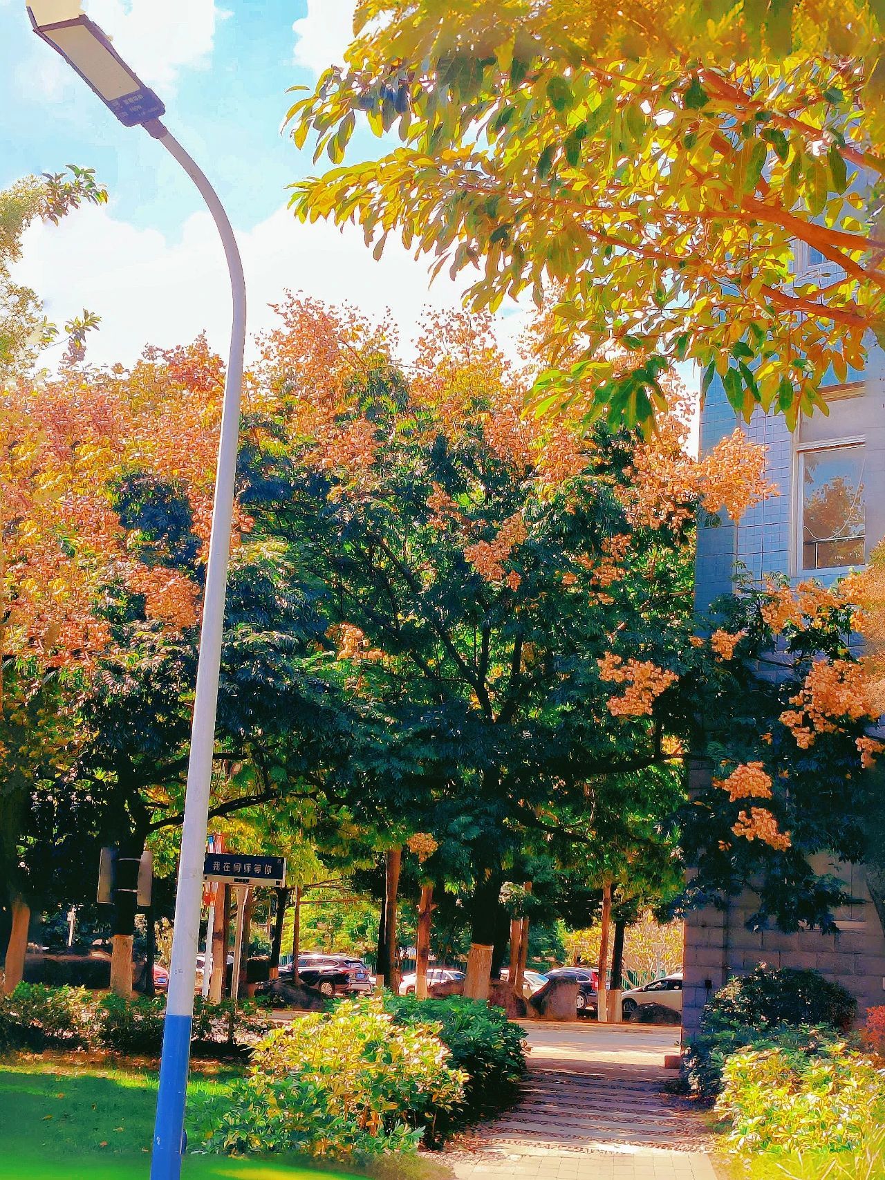 77779193永利集团