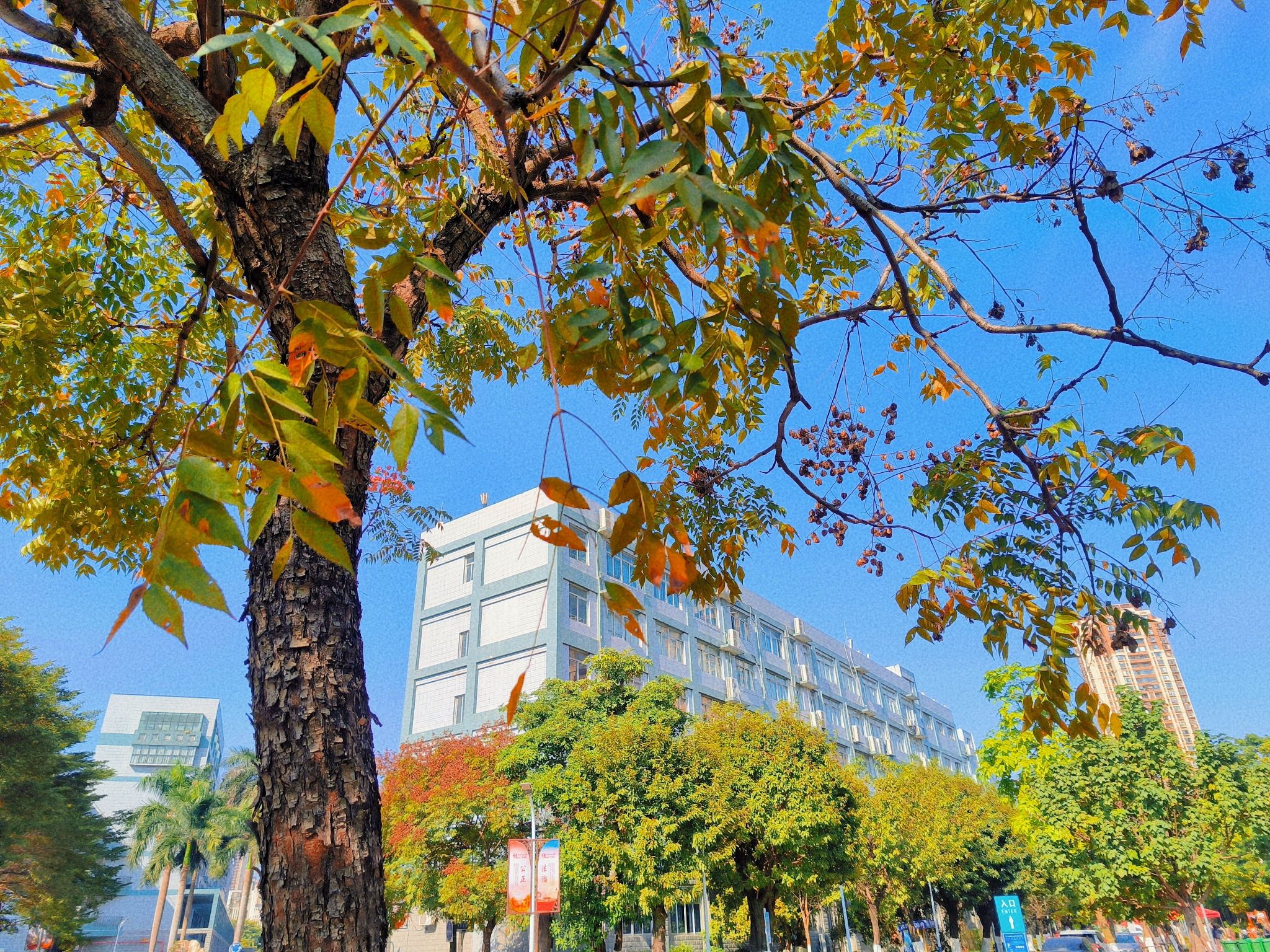 77779193永利集团