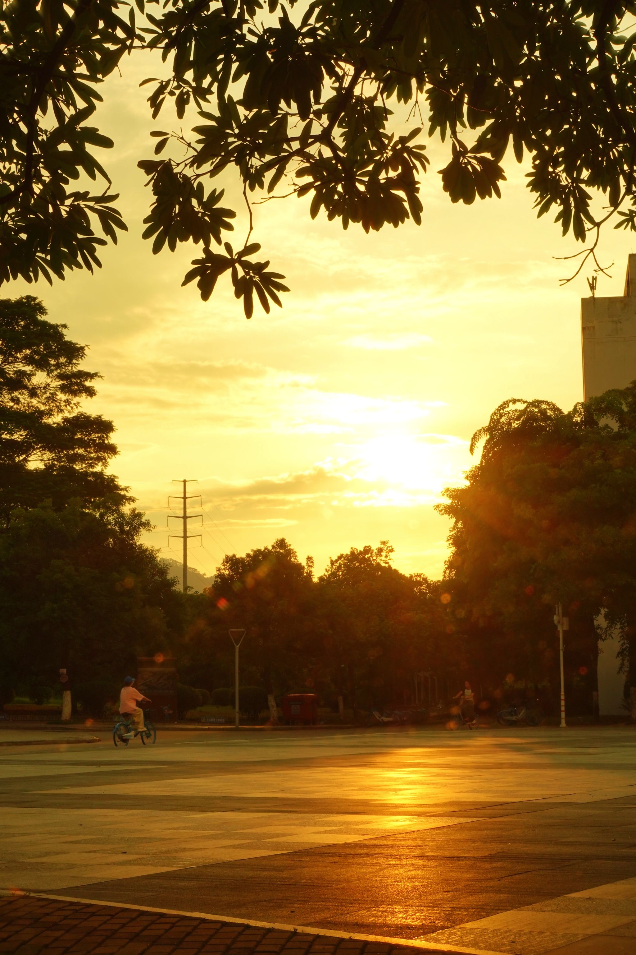 77779193永利集团