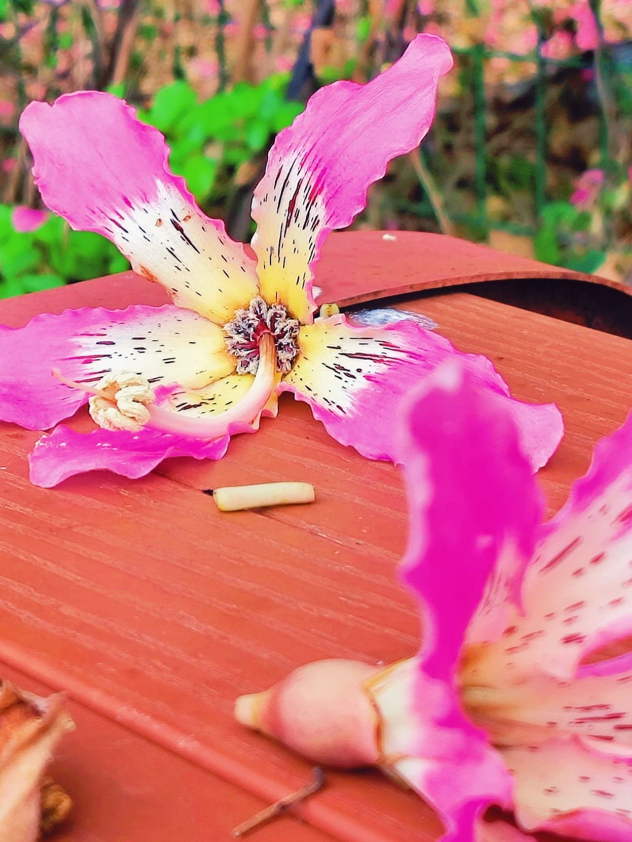 77779193永利集团