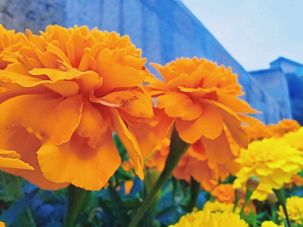 77779193永利集团